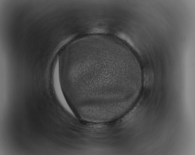 X0000093161213200710101148