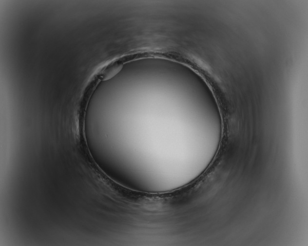 X0000093161214200710101148