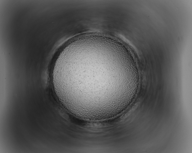 X0000093161215200710101148