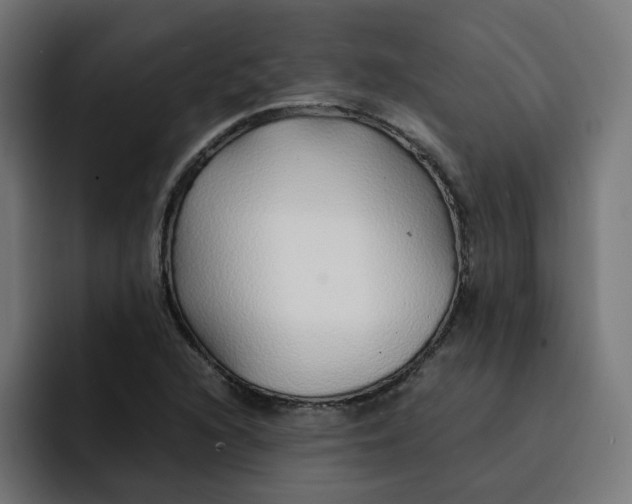 X0000093161216200710101148