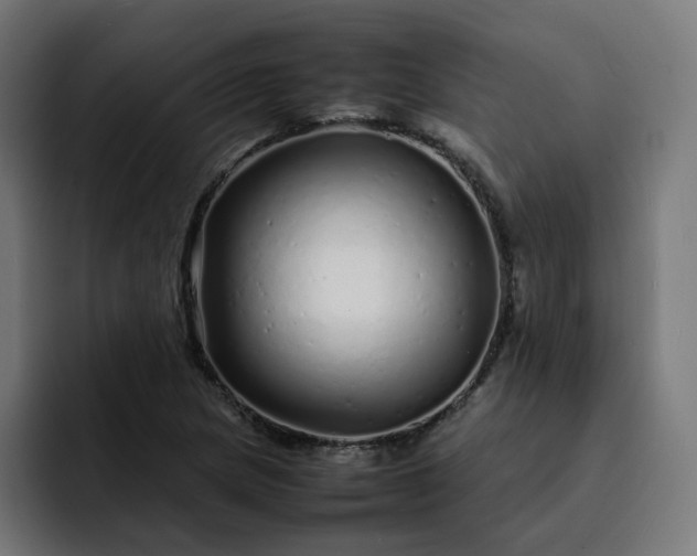 X0000093161217200710101148