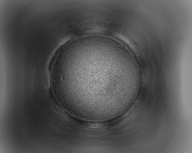 X0000093161219200710101148
