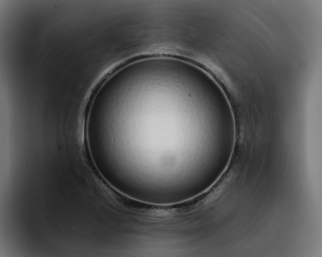X0000093161224200710101148