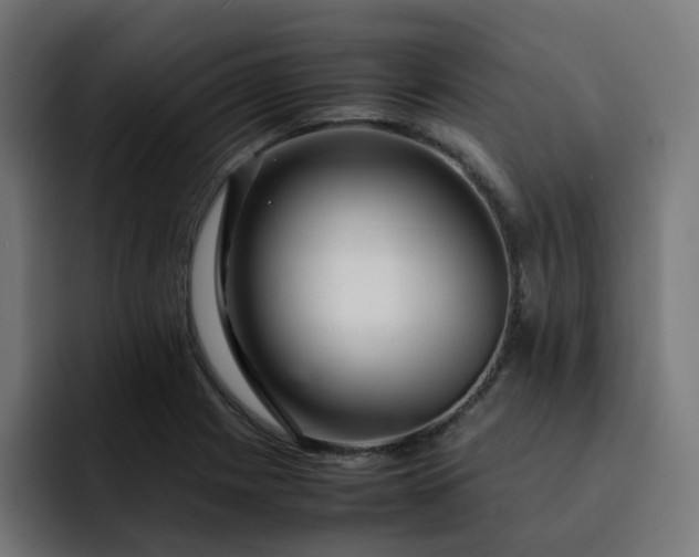 X0000093161225200710101148