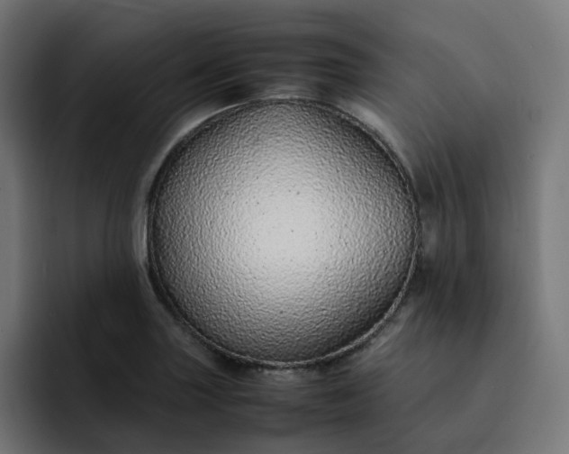 X0000093161227200710101148