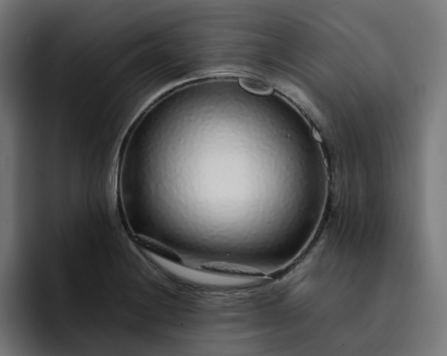 X0000093161228200710101148