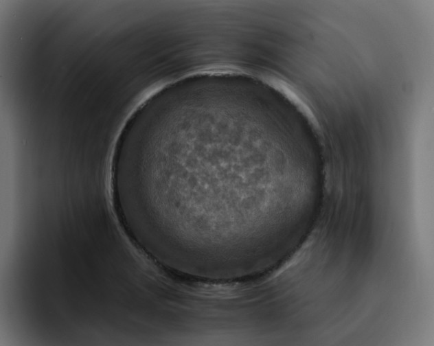 X0000093161229200710101148