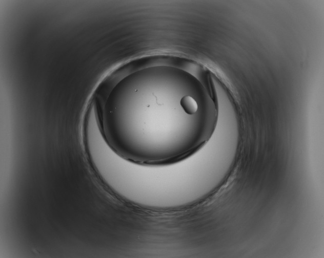 X0000093161230200710101148