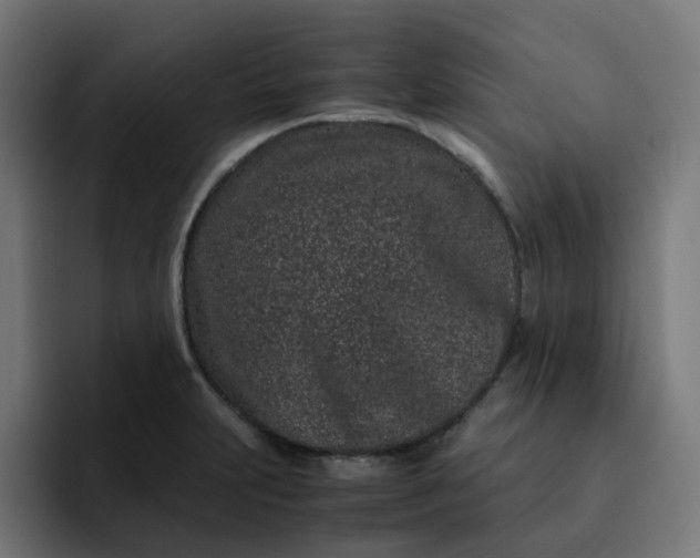 X0000093161231200710101148