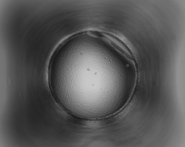 X0000093161232200710101148