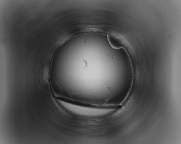 X0000093161233200710101148