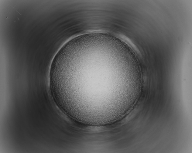 X0000093161236200710101148