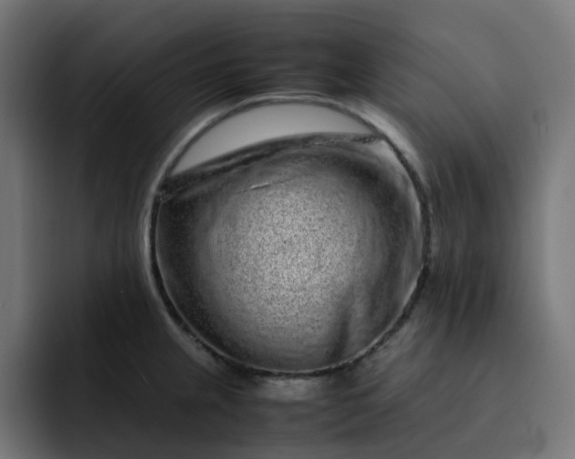 X0000093161237200710101148