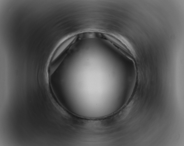 X0000093161238200710101148