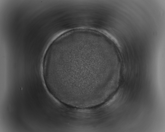 X0000093161239200710101148