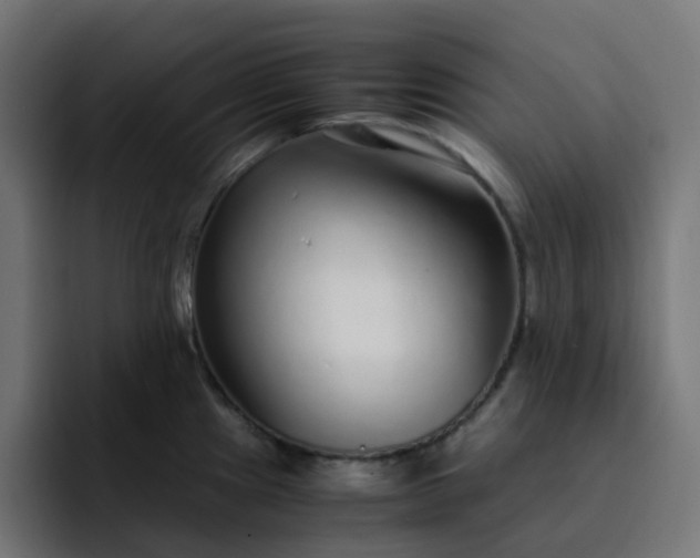 X0000093161241200710101148