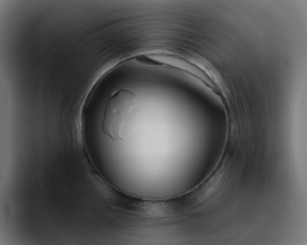 X0000093161242200710101148