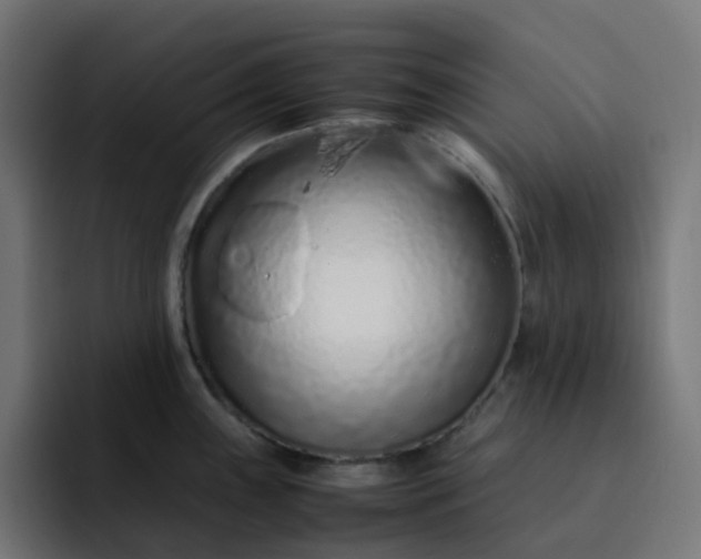 X0000093161243200710101148