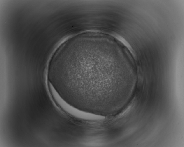 X0000093161245200710101148
