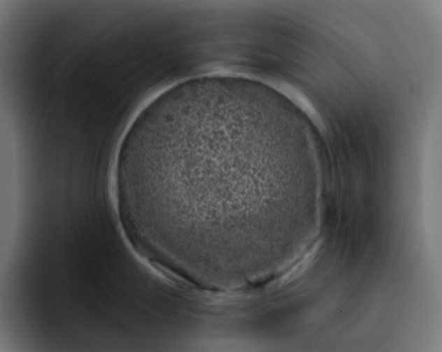 X0000093161247200710101148