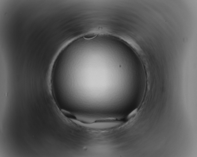 X0000093161248200710101148