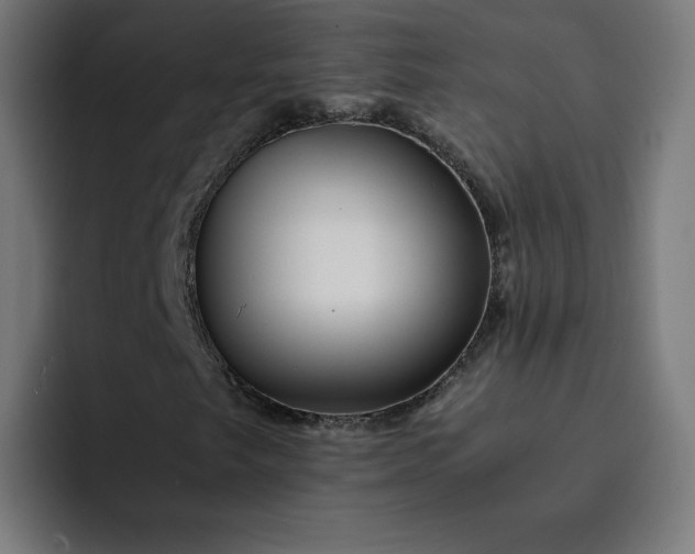X0000093161249200710101148