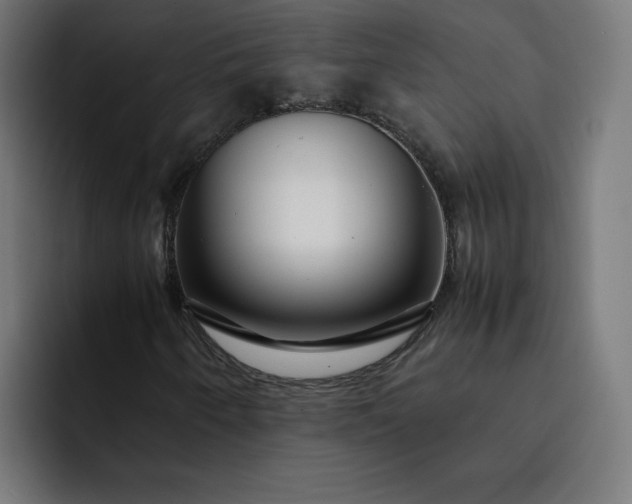 X0000093161250200710101148
