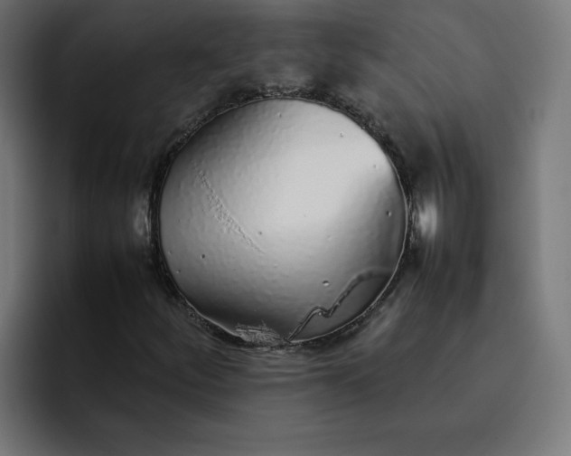 X0000093161252200710101147