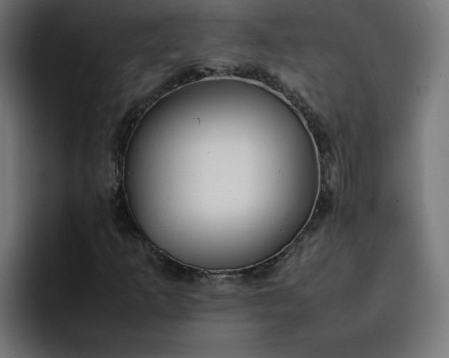 X0000093161253200710101147