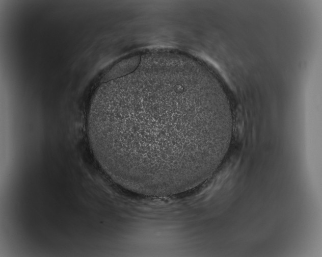 X0000093161255200710101147