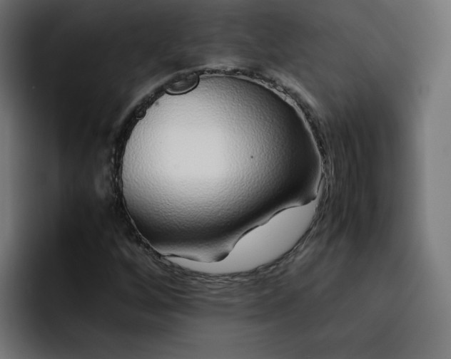 X0000093161256200710101147