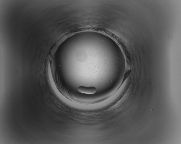 X0000093161257200710101147