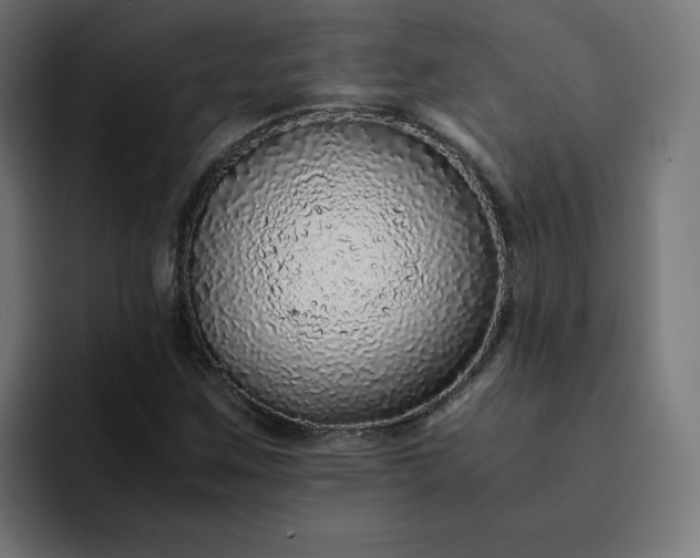 X0000093161259200710101147