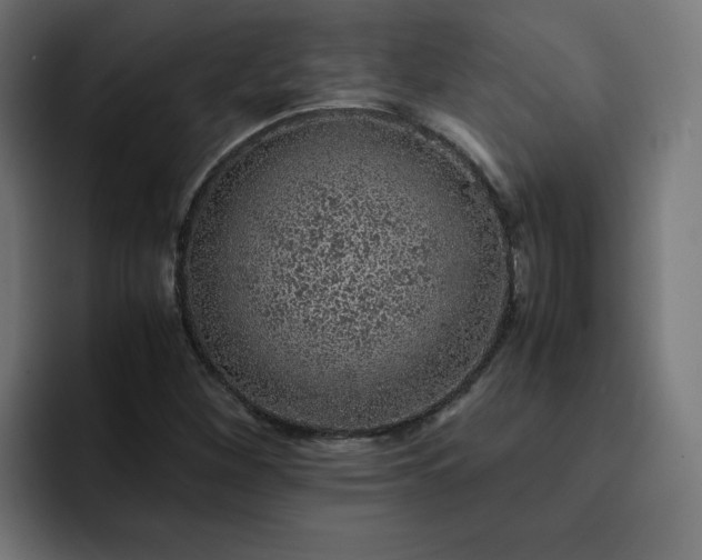 X0000093161260200710101147