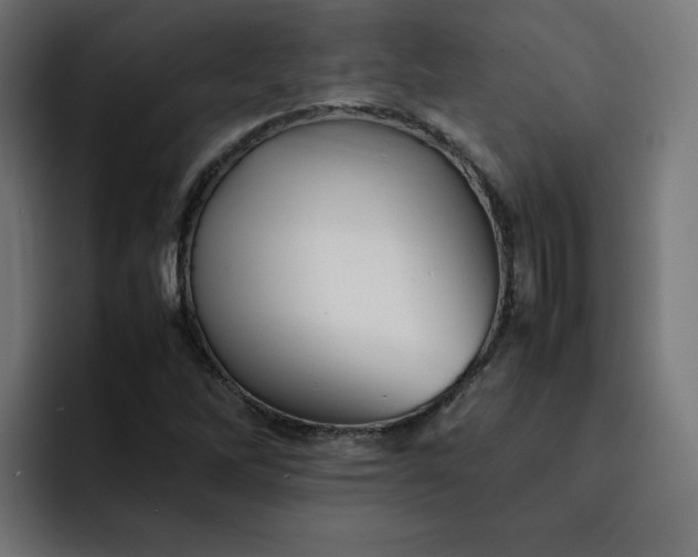 X0000093161262200710101147