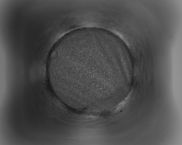 X0000093161263200710101147