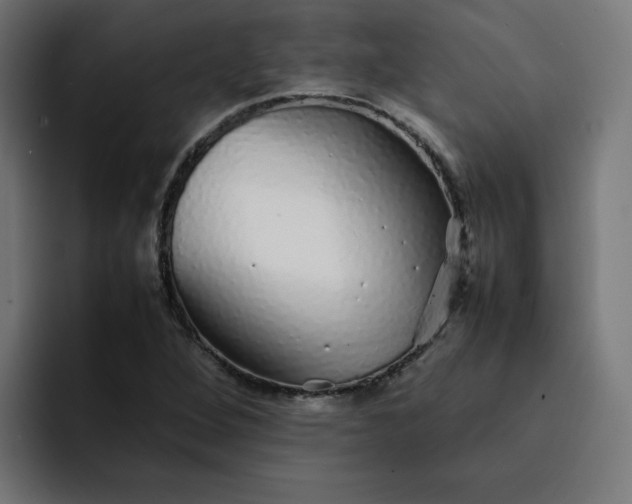 X0000093161264200710101147
