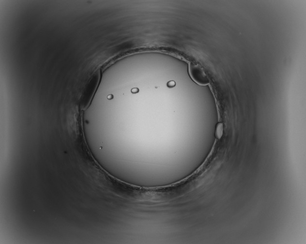 X0000093161265200710101147