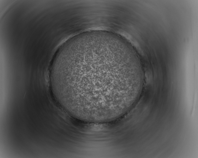 X0000093161266200710101147