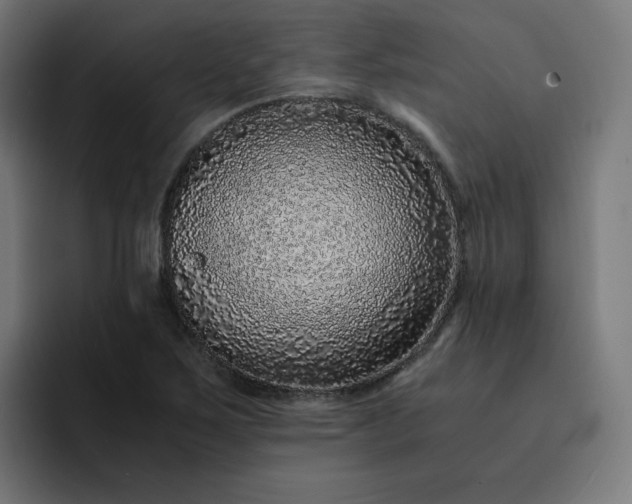 X0000093161267200710101147