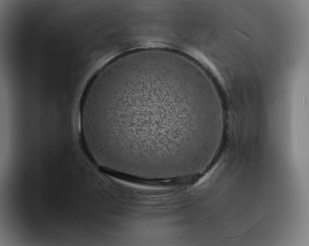 X0000093161269200710101147