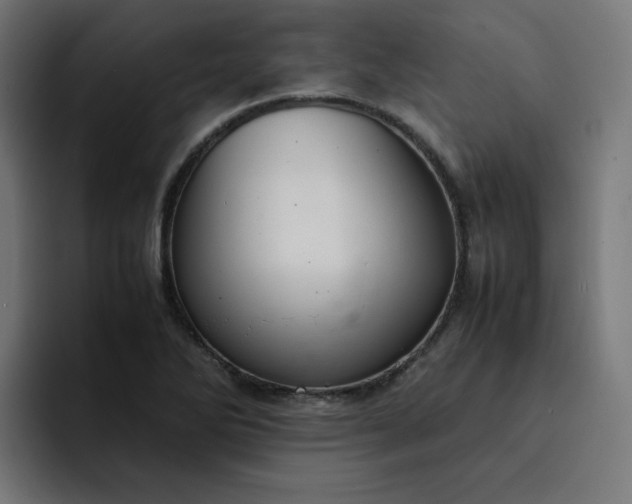 X0000093161270200710101147