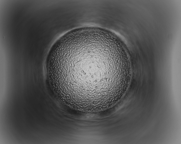 X0000093161271200710101147