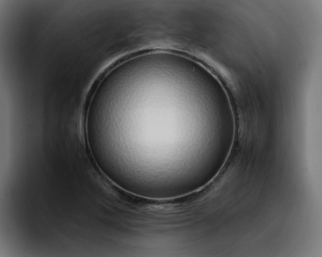 X0000093161272200710101147