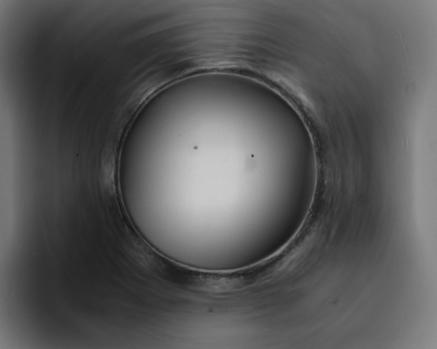 X0000093161273200710101147