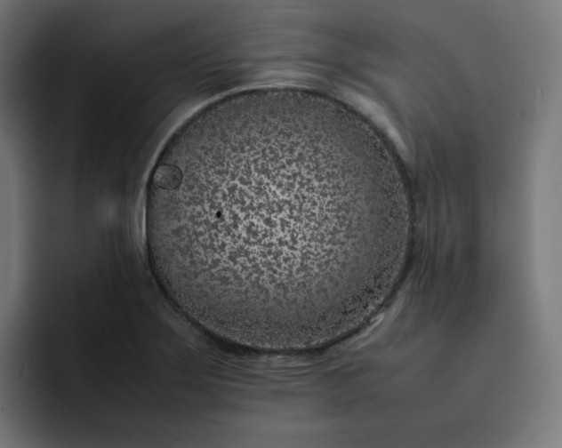 X0000093161275200710101147