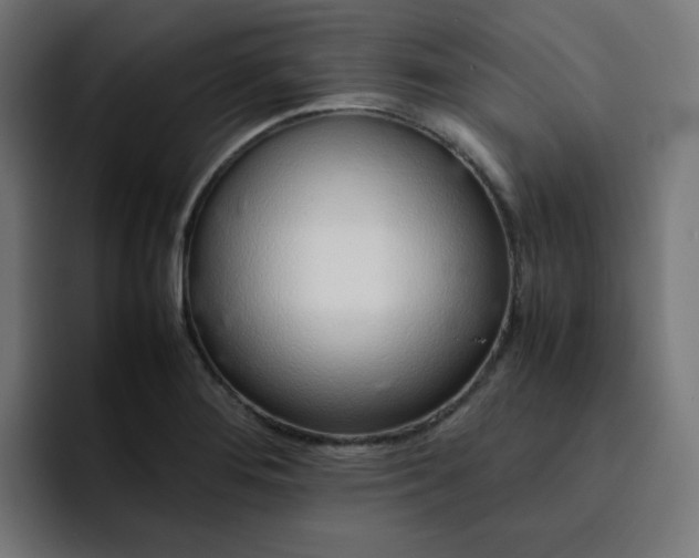 X0000093161276200710101147