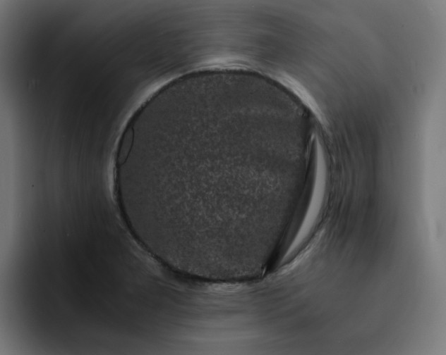 X0000093161277200710101147