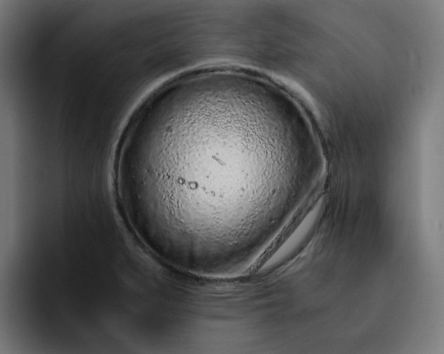 X0000093161279200710101147