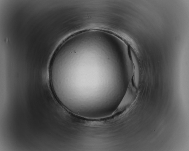 X0000093161280200710101147